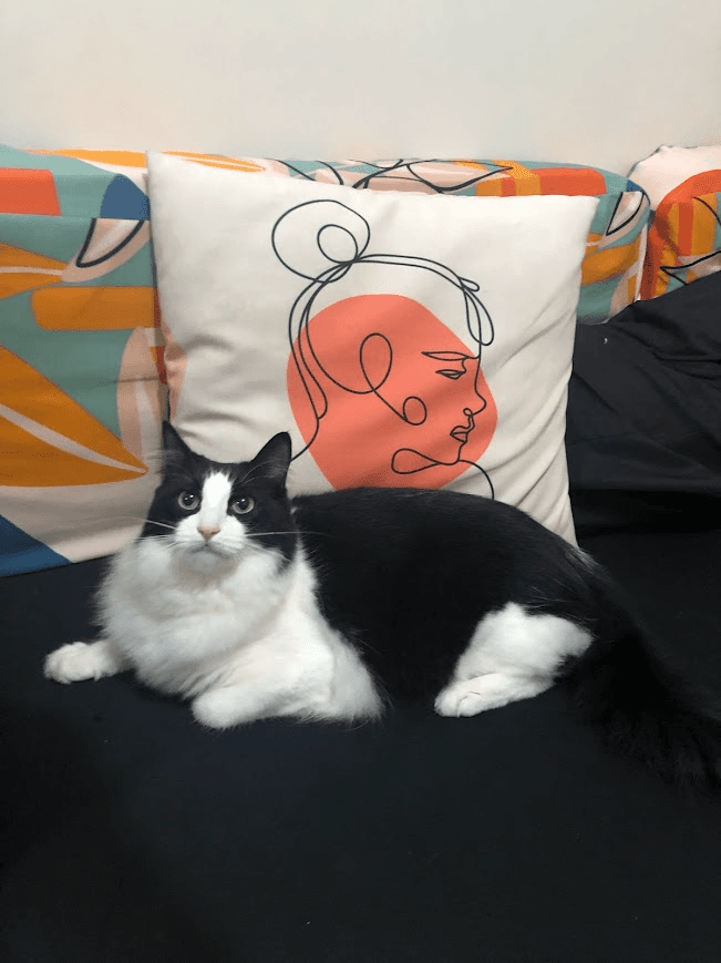 Bandana custom pet portrait example 37