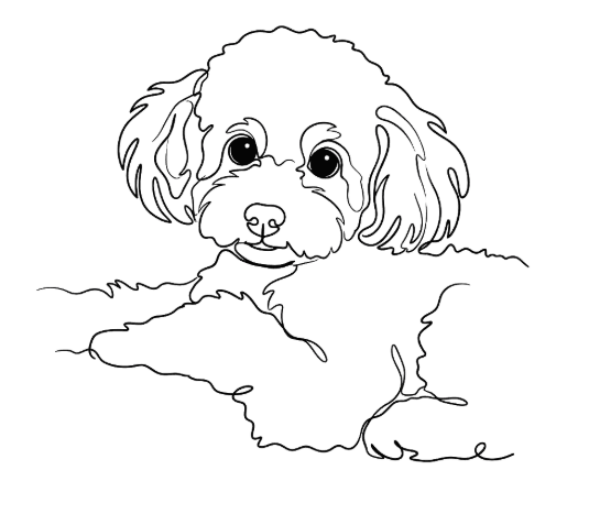 Line Art custom pet portrait example 14