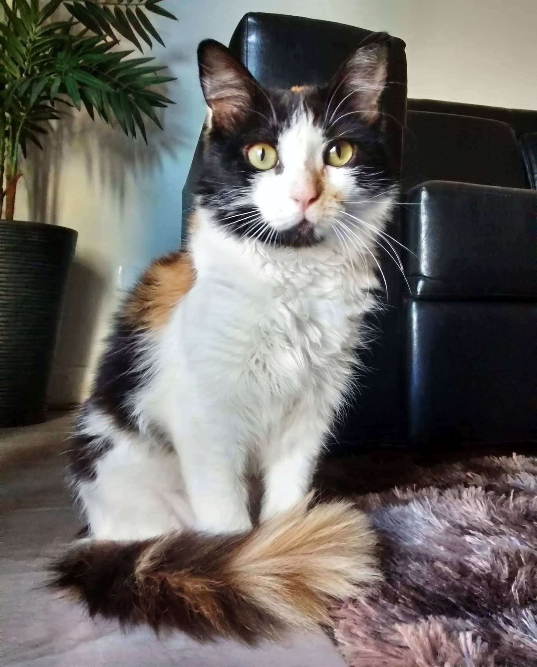 Tropical custom pet portrait example 3